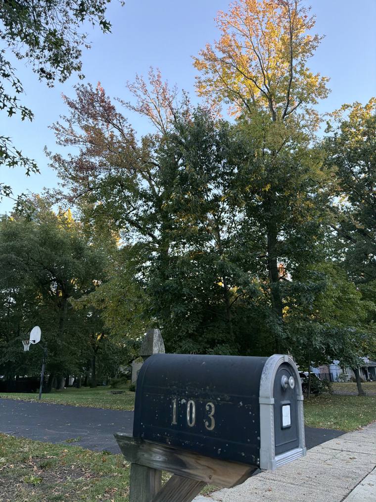 Mailbox 103 on Dr. UV's walk