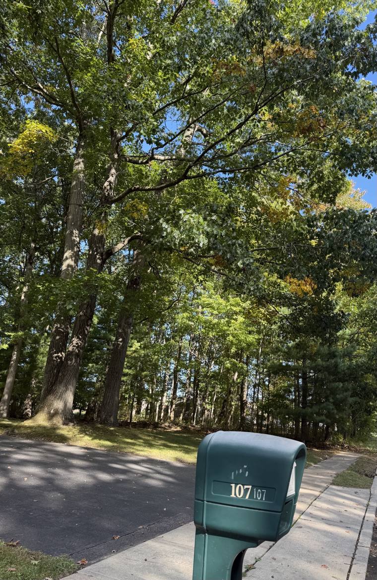 Mailbox 107 on Dr. UV's walk