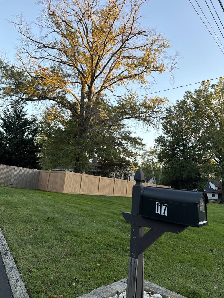 Mailbox 117 on Dr. UV's walk