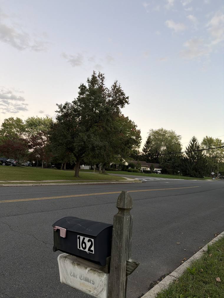 Mailbox 162 on Dr. UV's walk