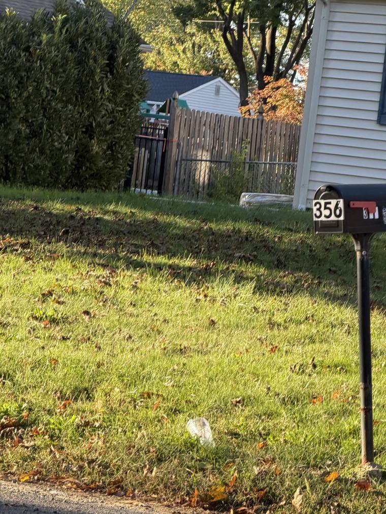 Mailbox 356 on Dr. UV's walk