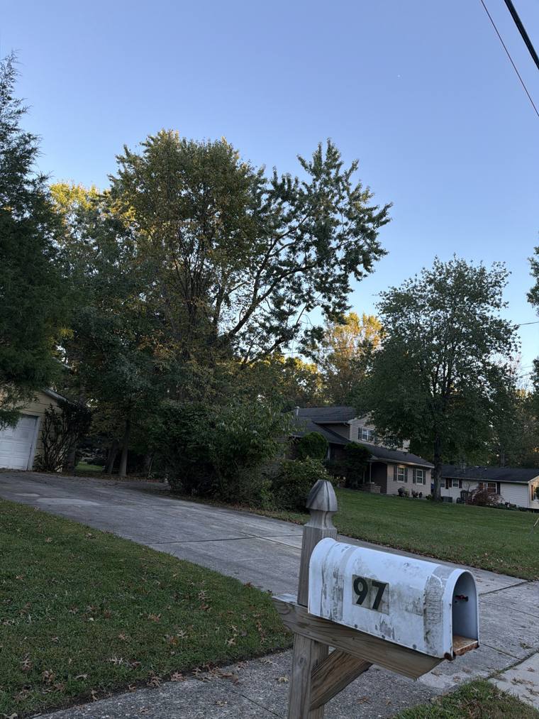Mailbox 97 on Dr. UV's walk